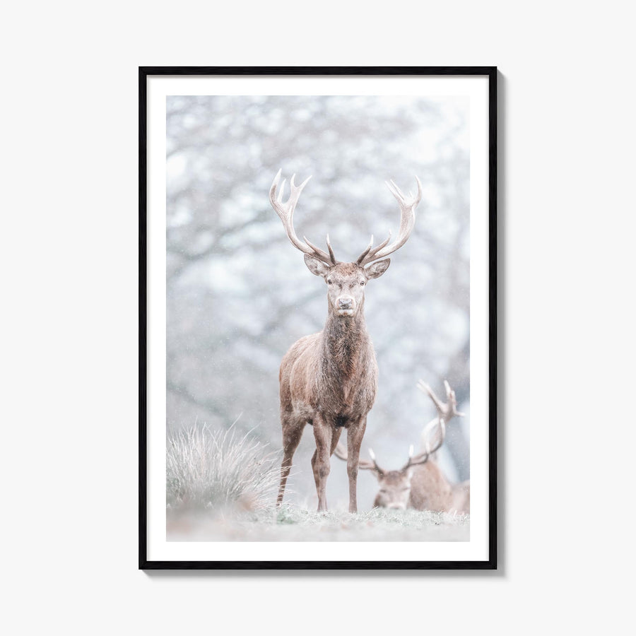 Deer no. 3 colorful photo poster – vertical wall art, unframed print shown in interior mockup