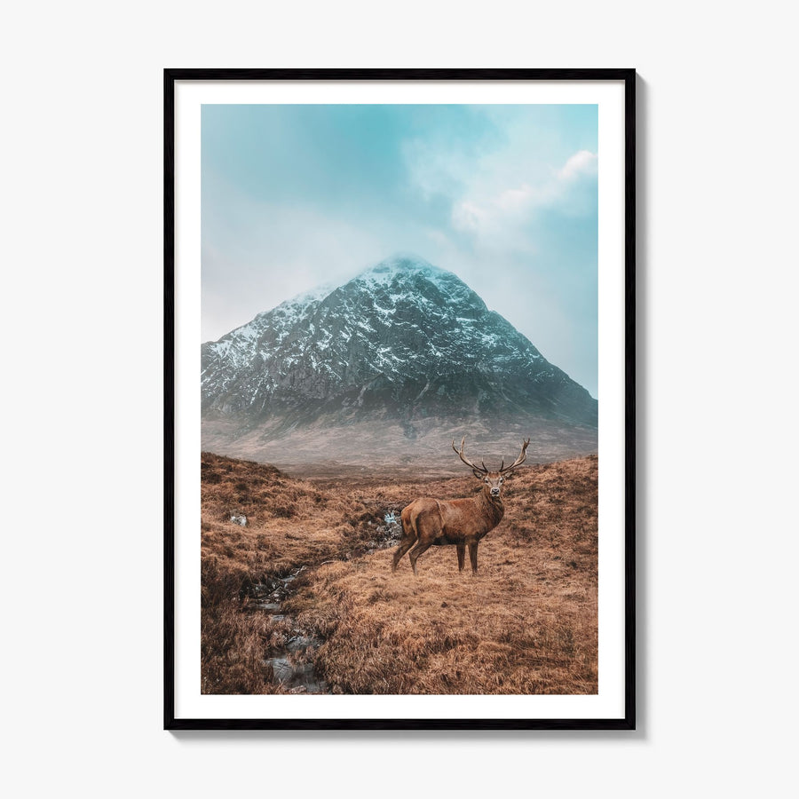 Deer Photo No 1 Poster, framed poster mockup, white border