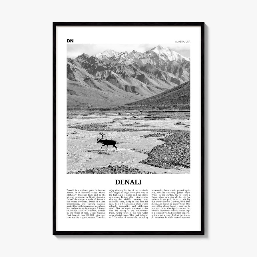 Denali Newspaper Poster, framed poster mockup