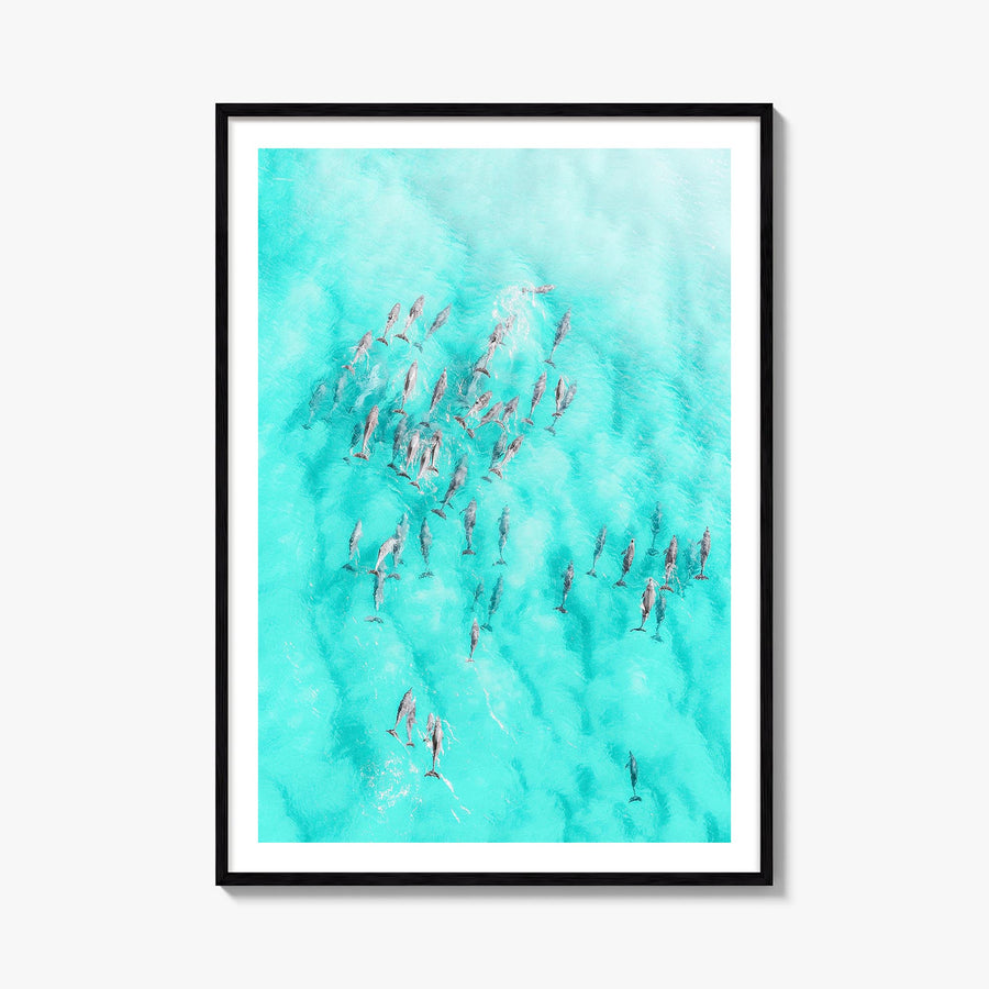 Dolphin Swimming colorful photo poster – vertical wall art, unframed print shown in interior mockup