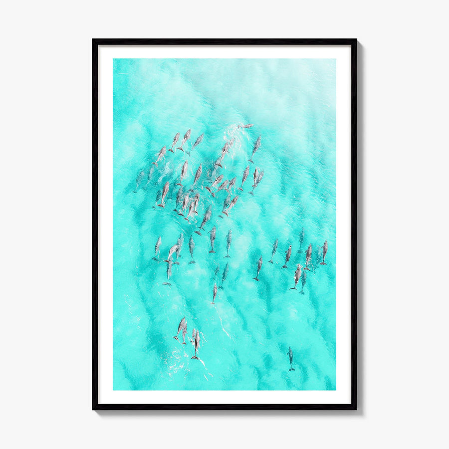 Dolphin Swimming Photo Poster, framed poster mockup, white border