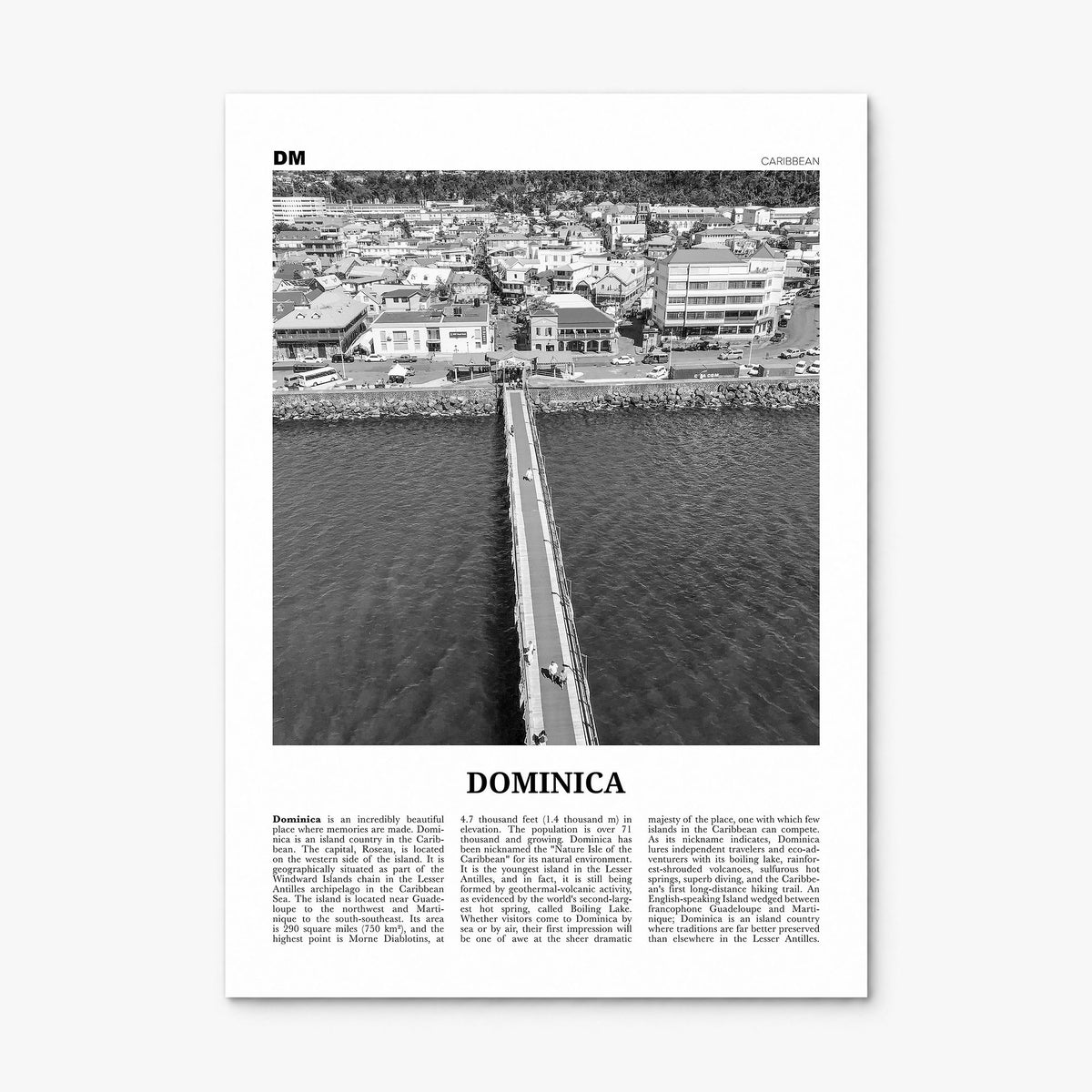 Dominica Newspaper Poster, print only (unframed)