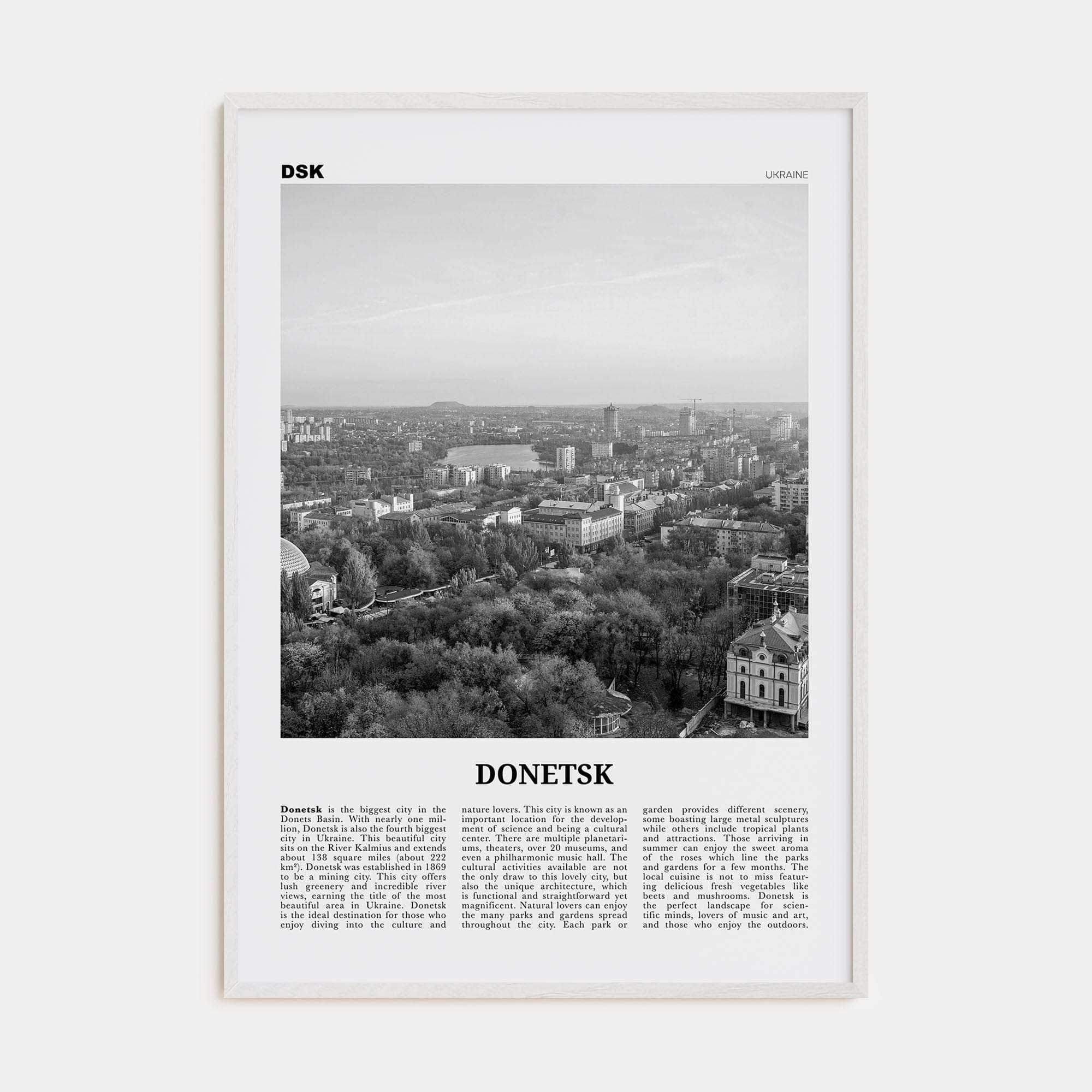 Donetsk Poster White Wood / 8x12 in Nbourhood Travel B&W Poster