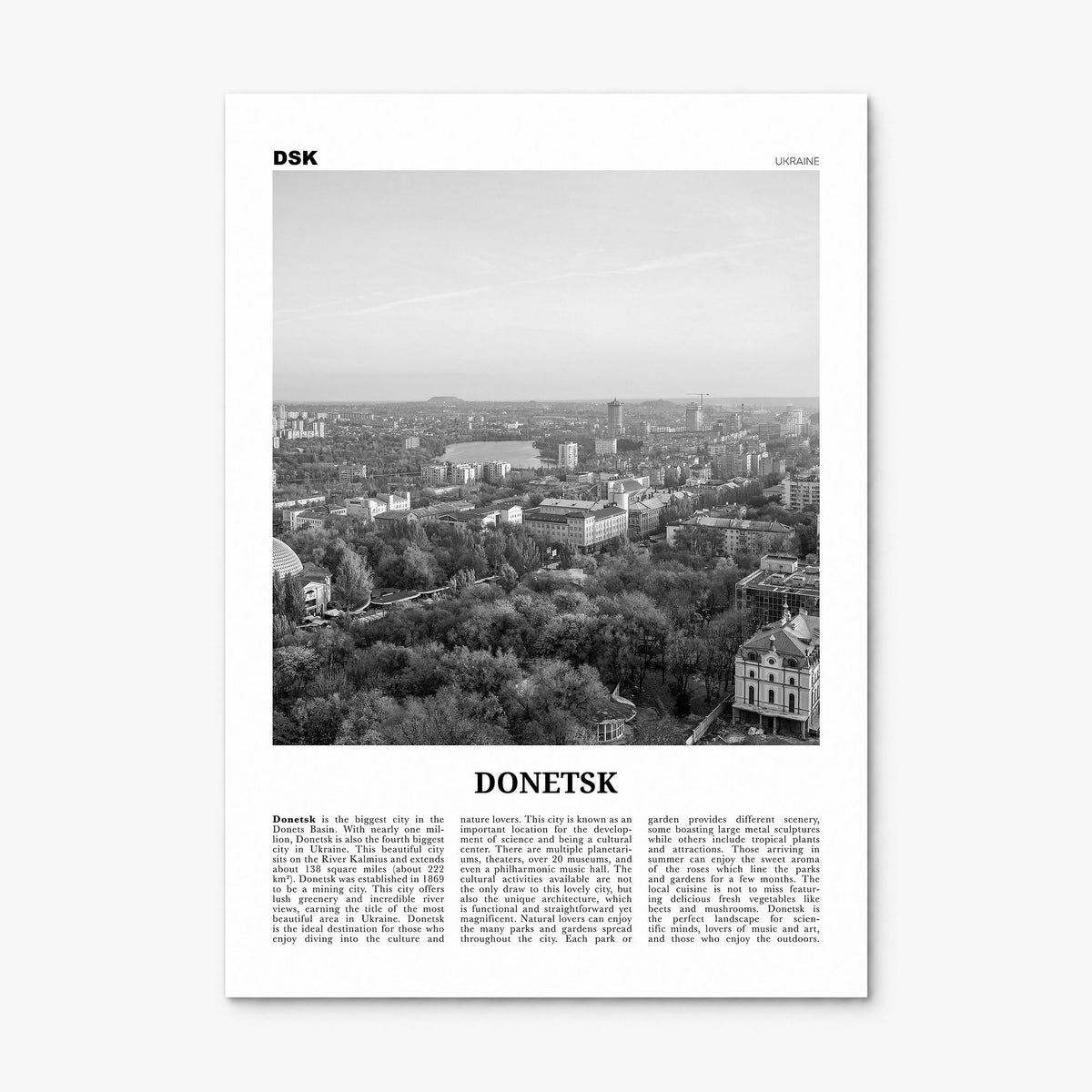 Donetsk Newspaper Poster, print only (unframed)