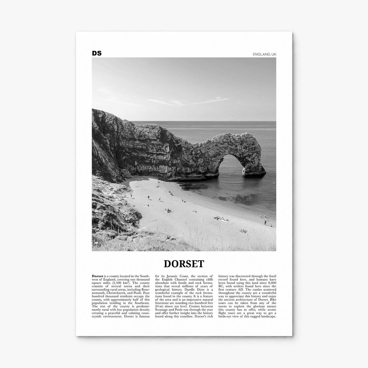 Dorset Newspaper Poster, print only (unframed)