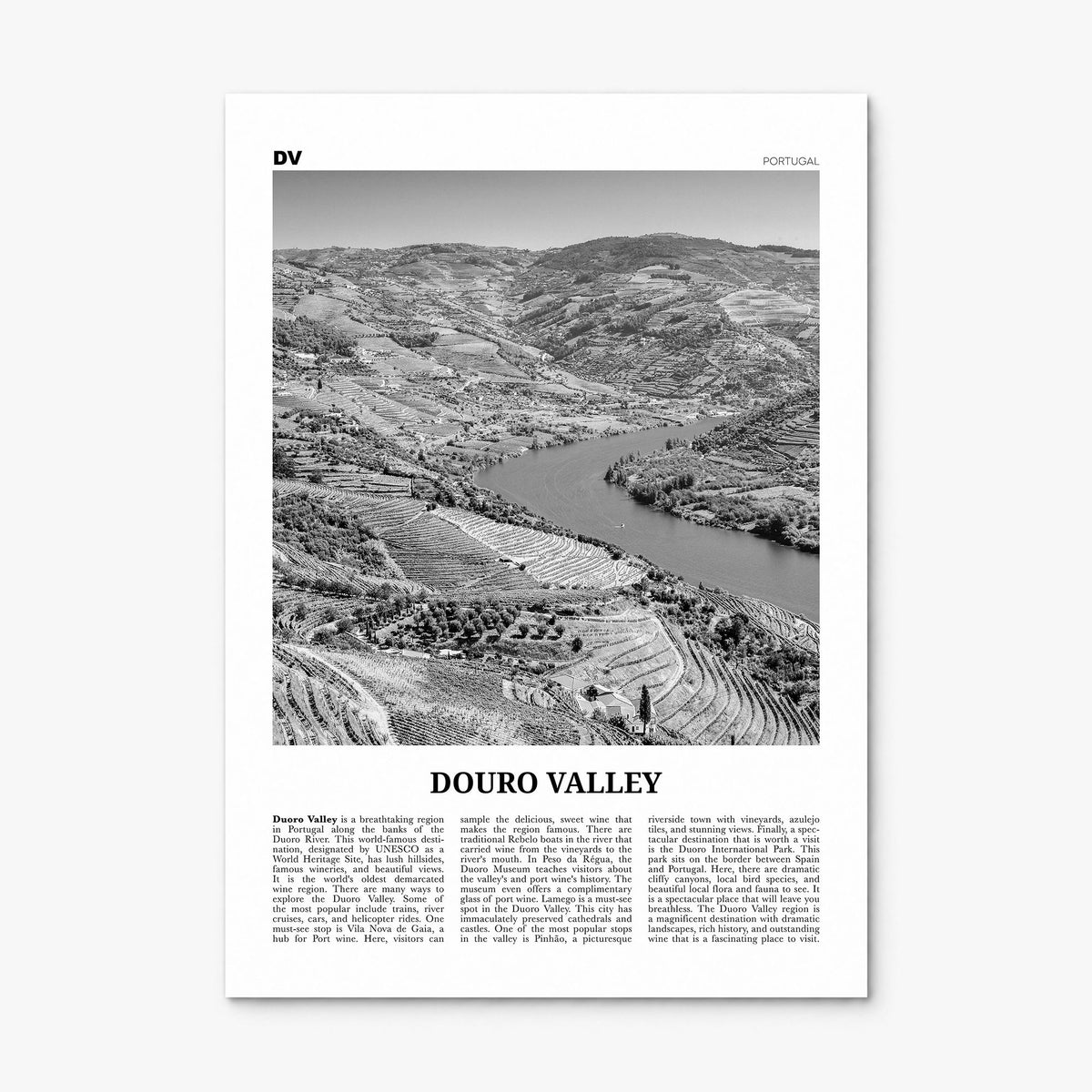 Douro Valley Newspaper Poster, print only (unframed)