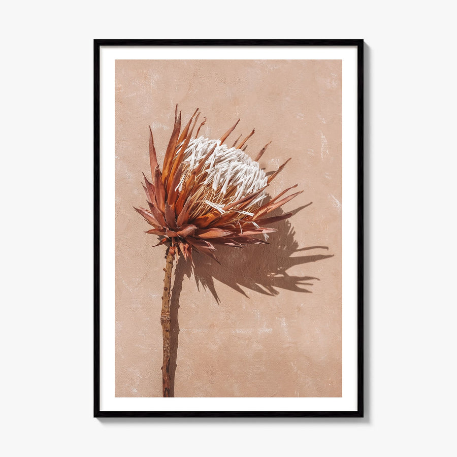 Dried Exotic Flower Photo Poster, framed poster mockup, white border