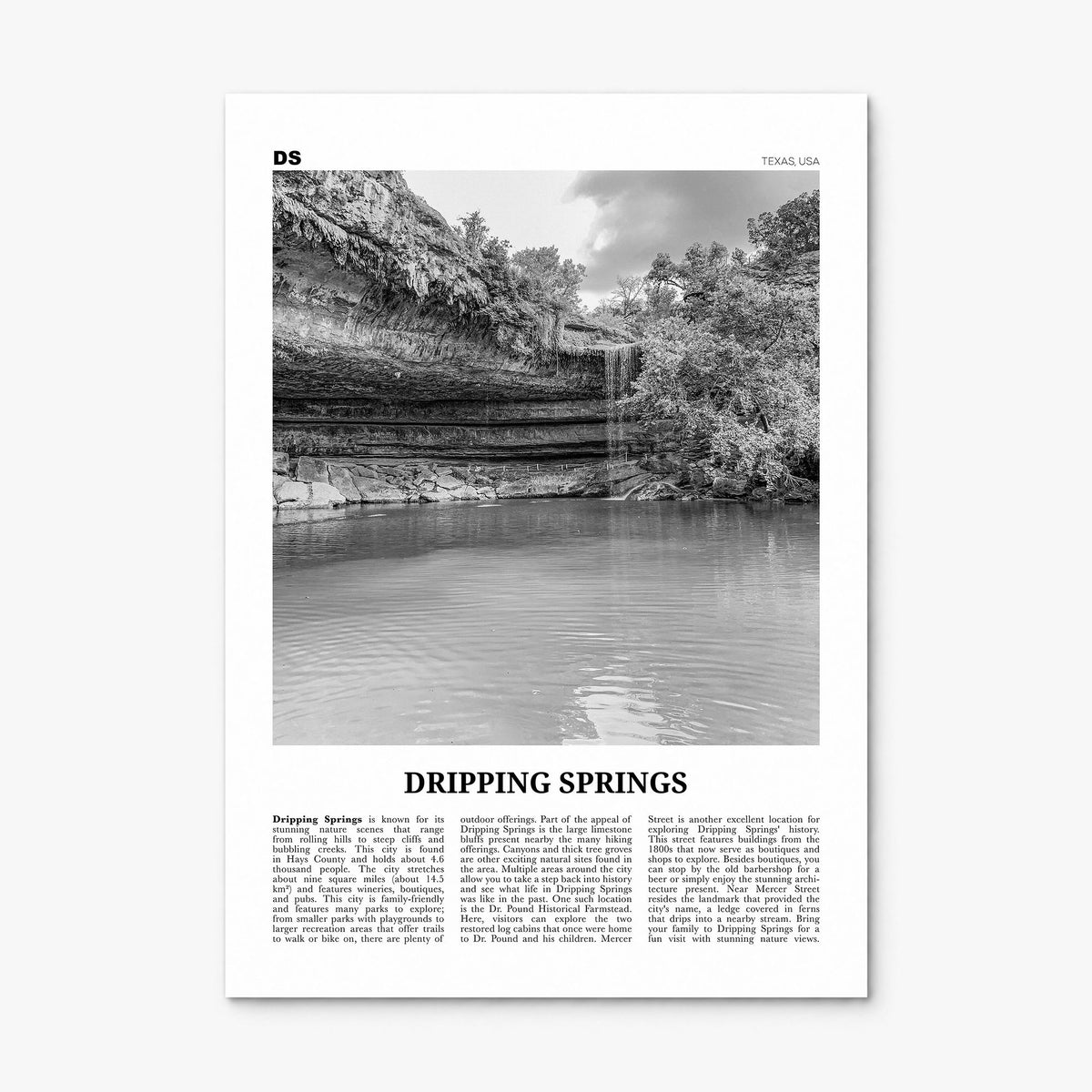 Dripping Springs Newspaper Poster, print only (unframed)