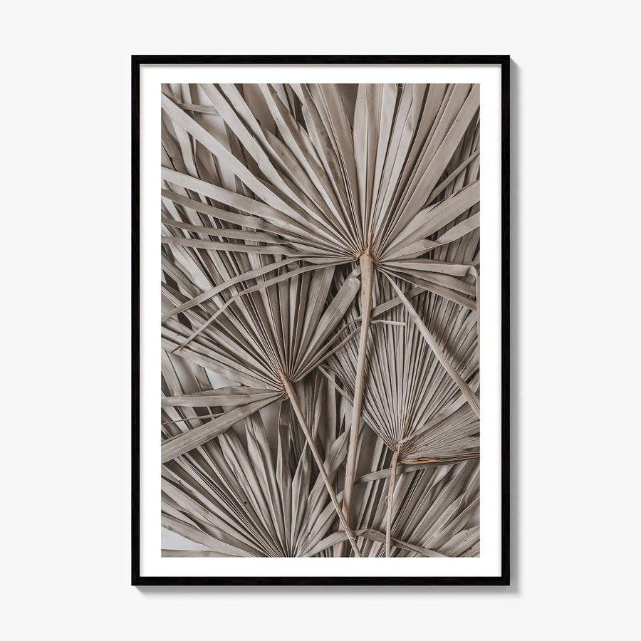 Dry Tropical Palm Leaf Photo No 1 Poster, framed poster mockup, white border