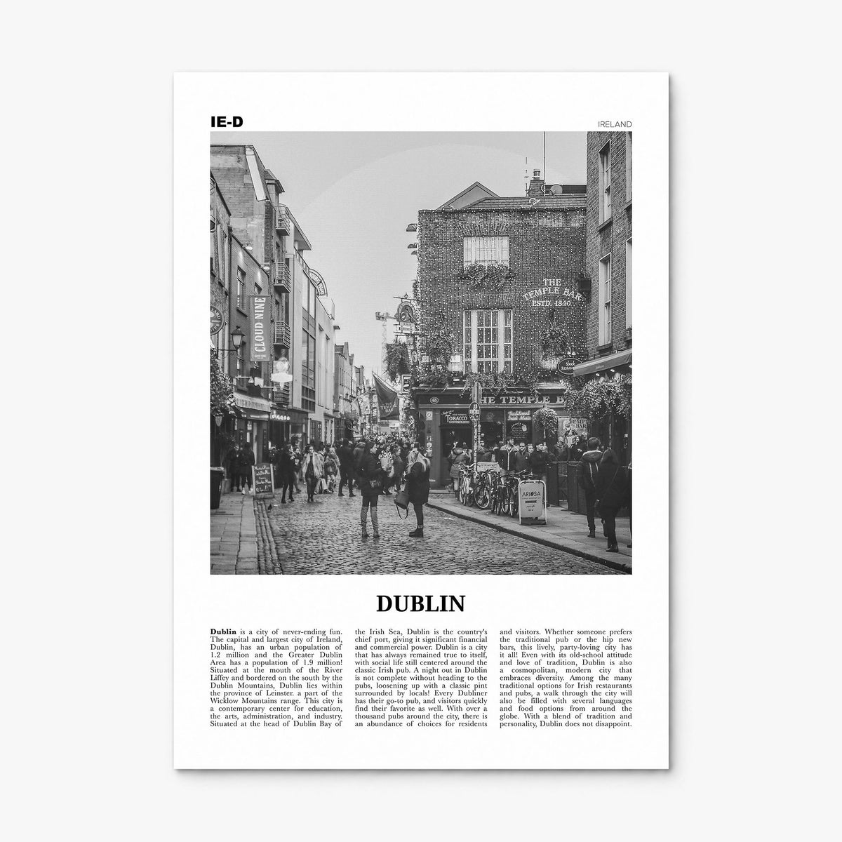 Dublin Newspaper No 1 Poster, print only (unframed)