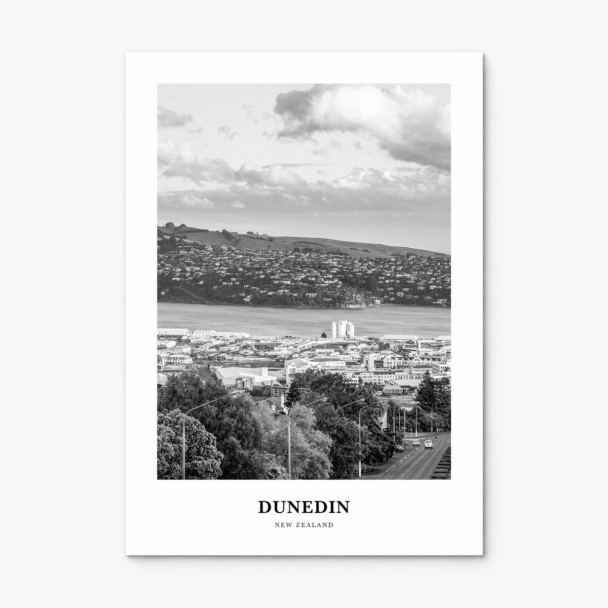 Dunedin Classic Poster, print only (unframed)
