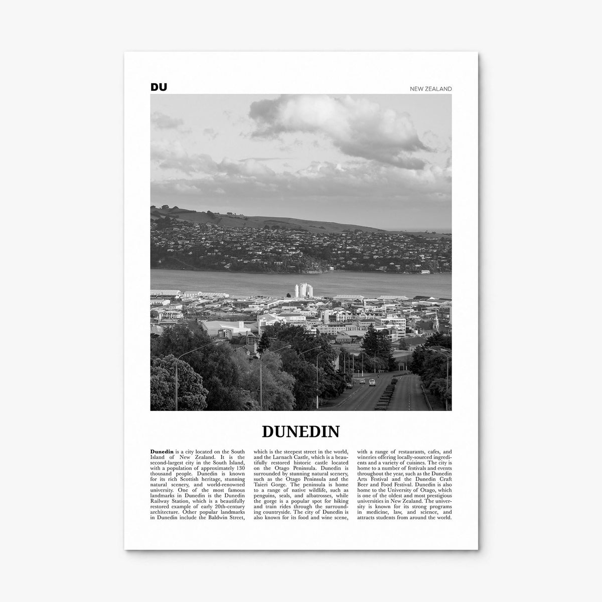 Dunedin Newspaper Poster, print only (unframed)