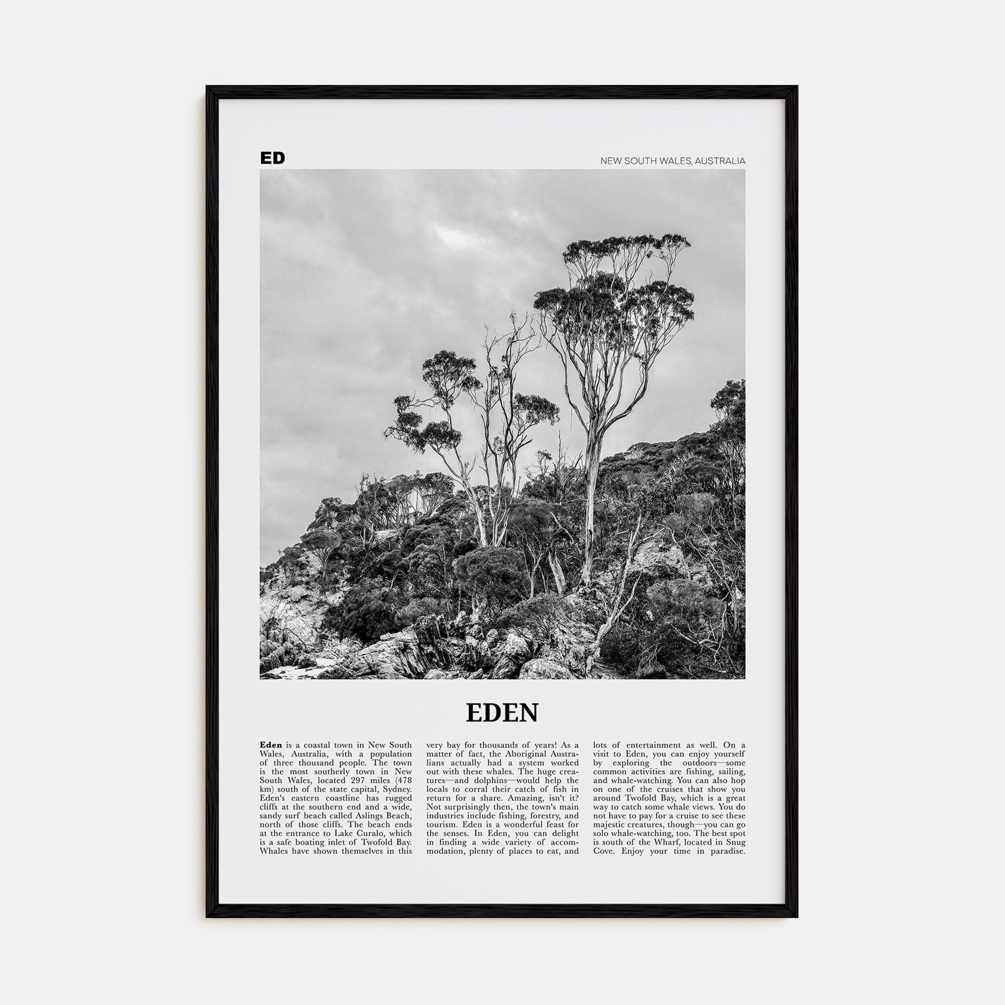 Eden Poster Black Wood / 8x12 in Nbourhood Travel B&W Poster