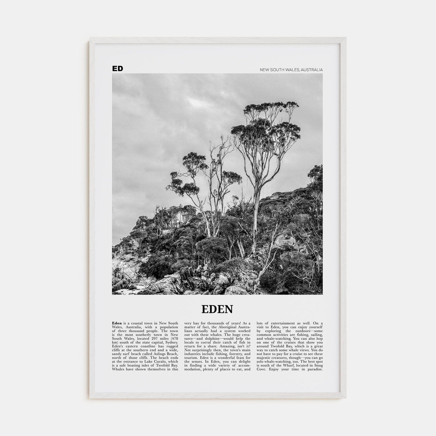 Eden Poster White Wood / 8x12 in Nbourhood Travel B&W Poster