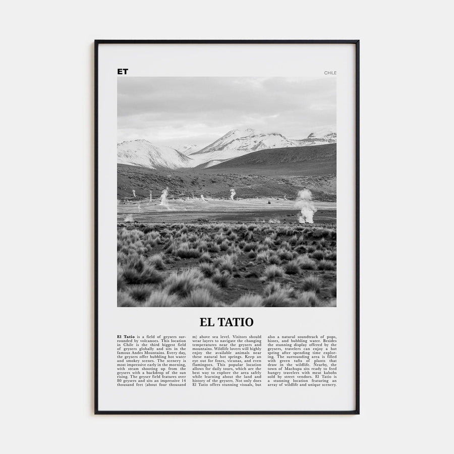 El Tatio Poster None / 8x12 in Nbourhood Travel B&W Poster