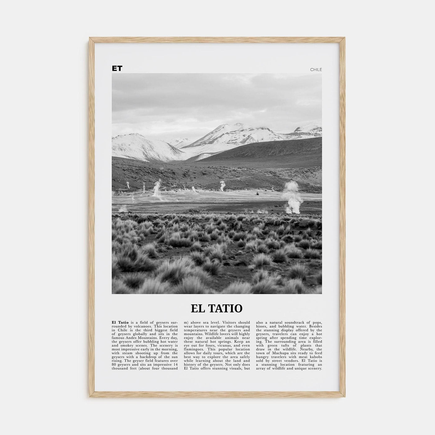 El Tatio Poster Natural Wood / 8x12 in Nbourhood Travel B&W Poster