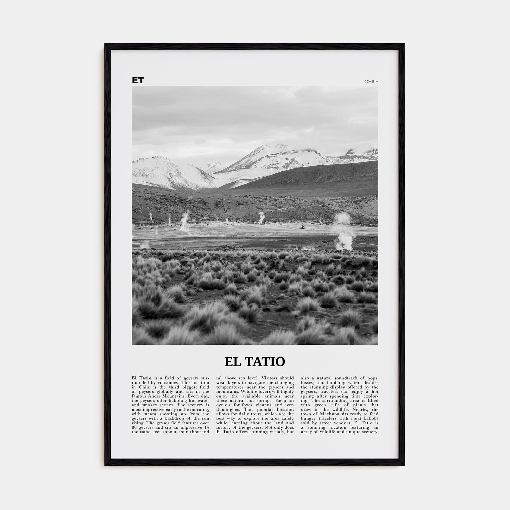 El Tatio Poster Black Wood / 8x12 in Nbourhood Travel B&W Poster