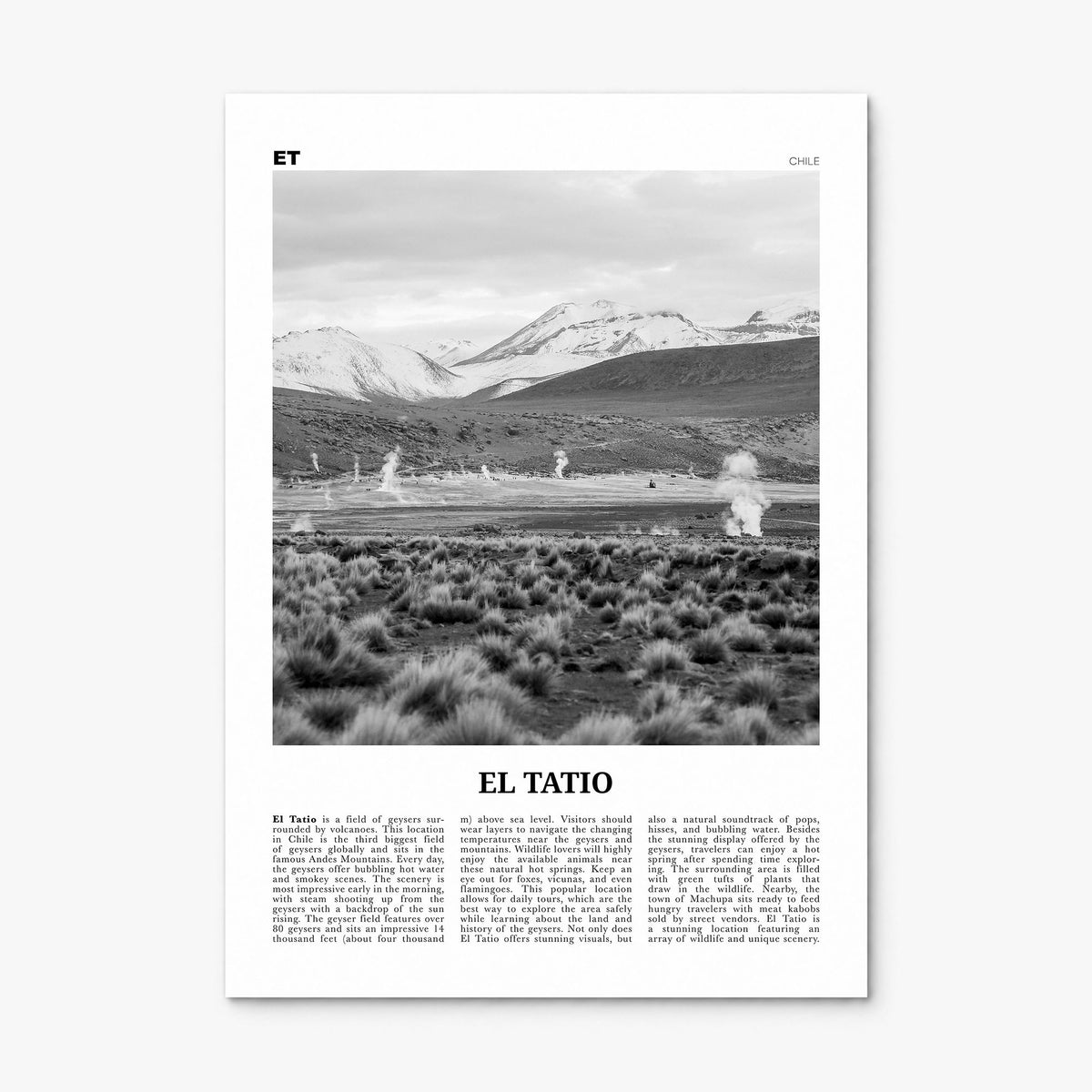 El Tatio Newspaper Poster, print only (unframed)