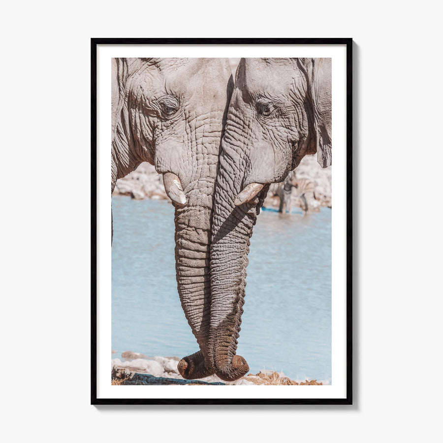 Elephant Couple Photo Poster, framed poster mockup, white border