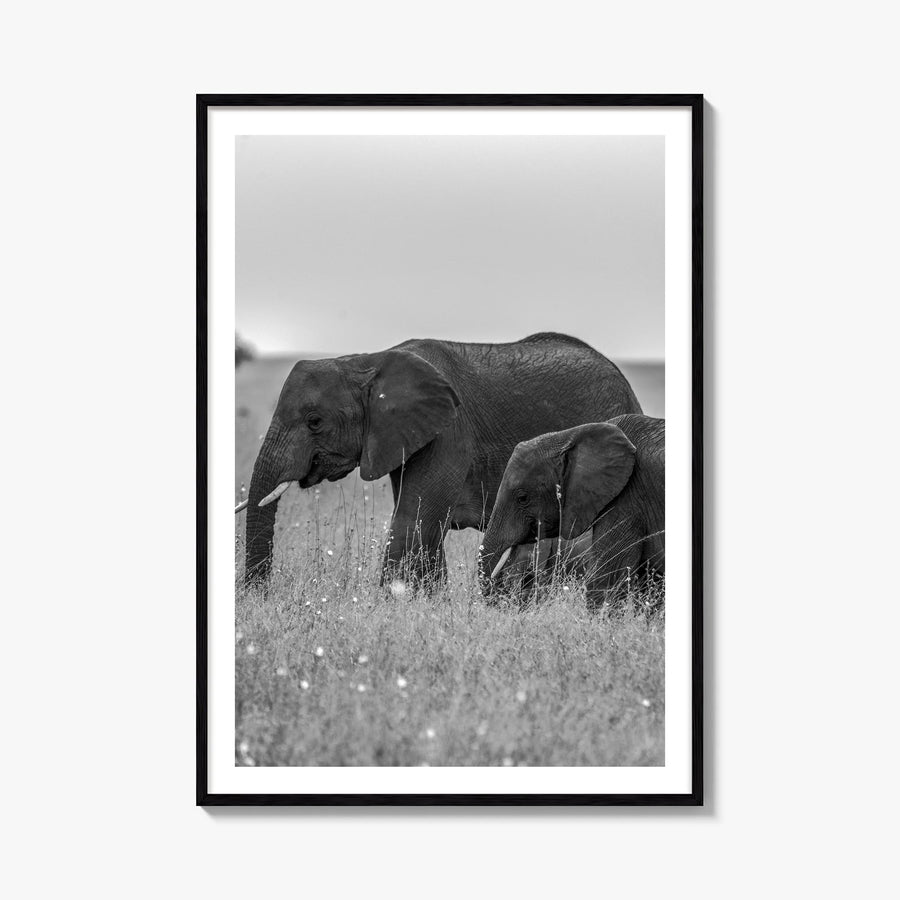 Elephant no. 1 black & white photo poster – vertical wall art, unframed print shown in interior mockup