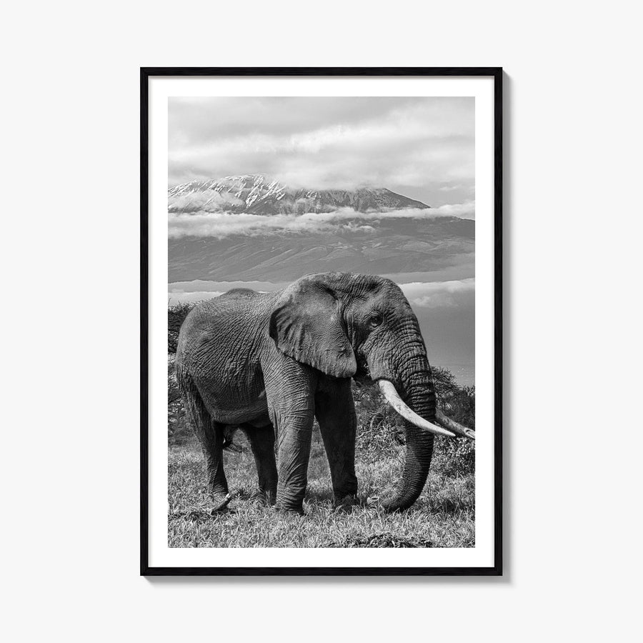 Elephant no. 2 black & white photo poster – vertical wall art, unframed print shown in interior mockup