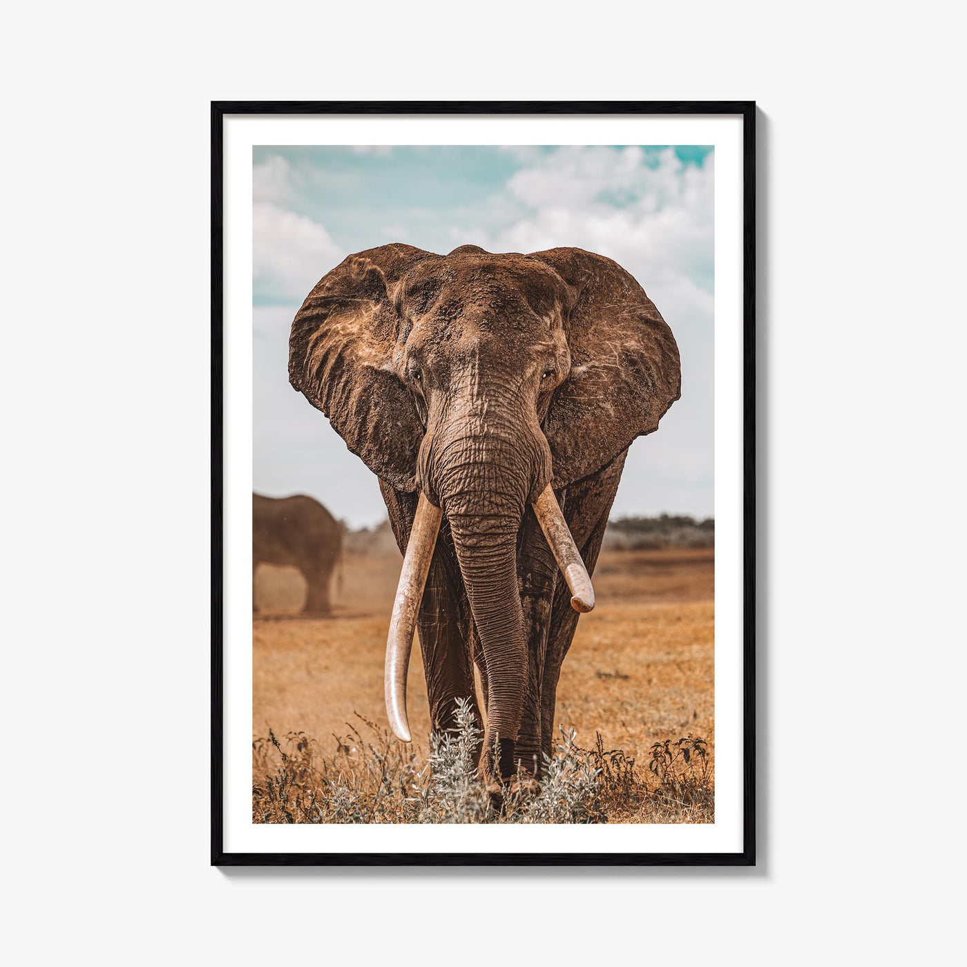 Elephant no. 3 colorful photo poster – vertical wall art, unframed print shown in interior mockup