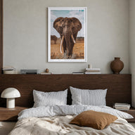 Elephant no. 3 colorful photo poster – vertical wall art in white wood frame with white border, hanging on wall