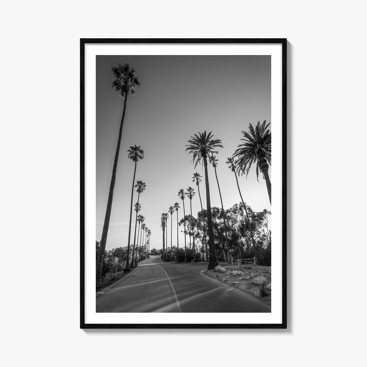 Elysian Park black & white photo poster of California, USA – vertical wall art, unframed print shown in interior mockup