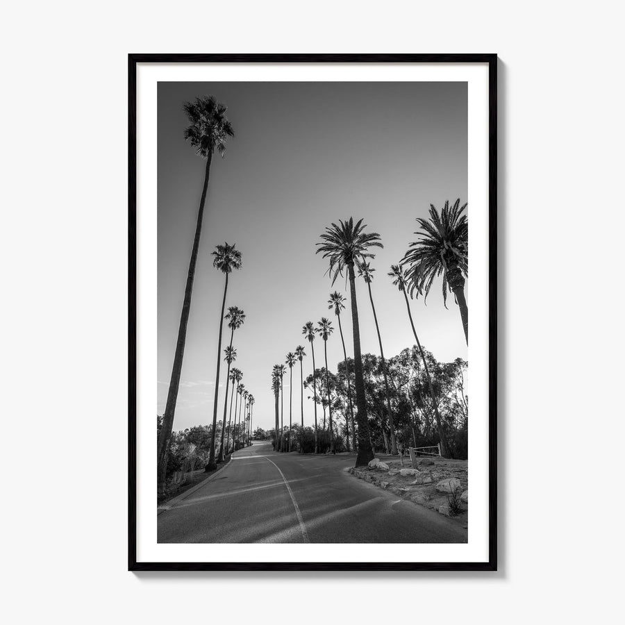 Elysian Park Photo Poster, framed poster mockup, white border