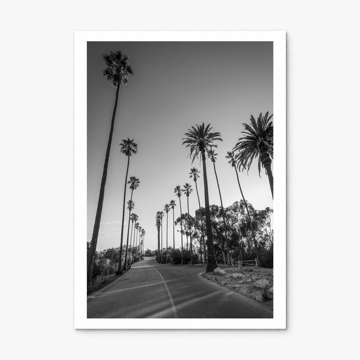 Elysian Park Photo Poster, print only (unframed), white border