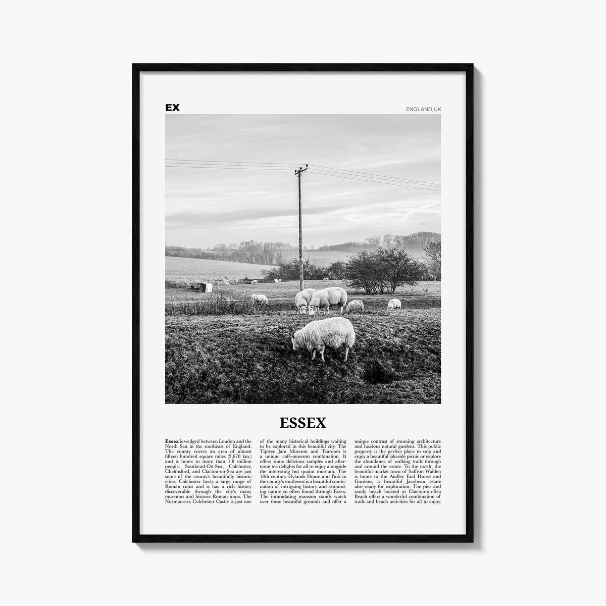 Essex black & white newspaper poster of Maryland, USA – vertical wall art, unframed print shown in interior mockup