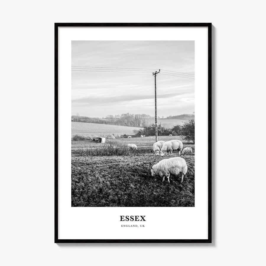 Essex Classic Poster, framed poster mockup