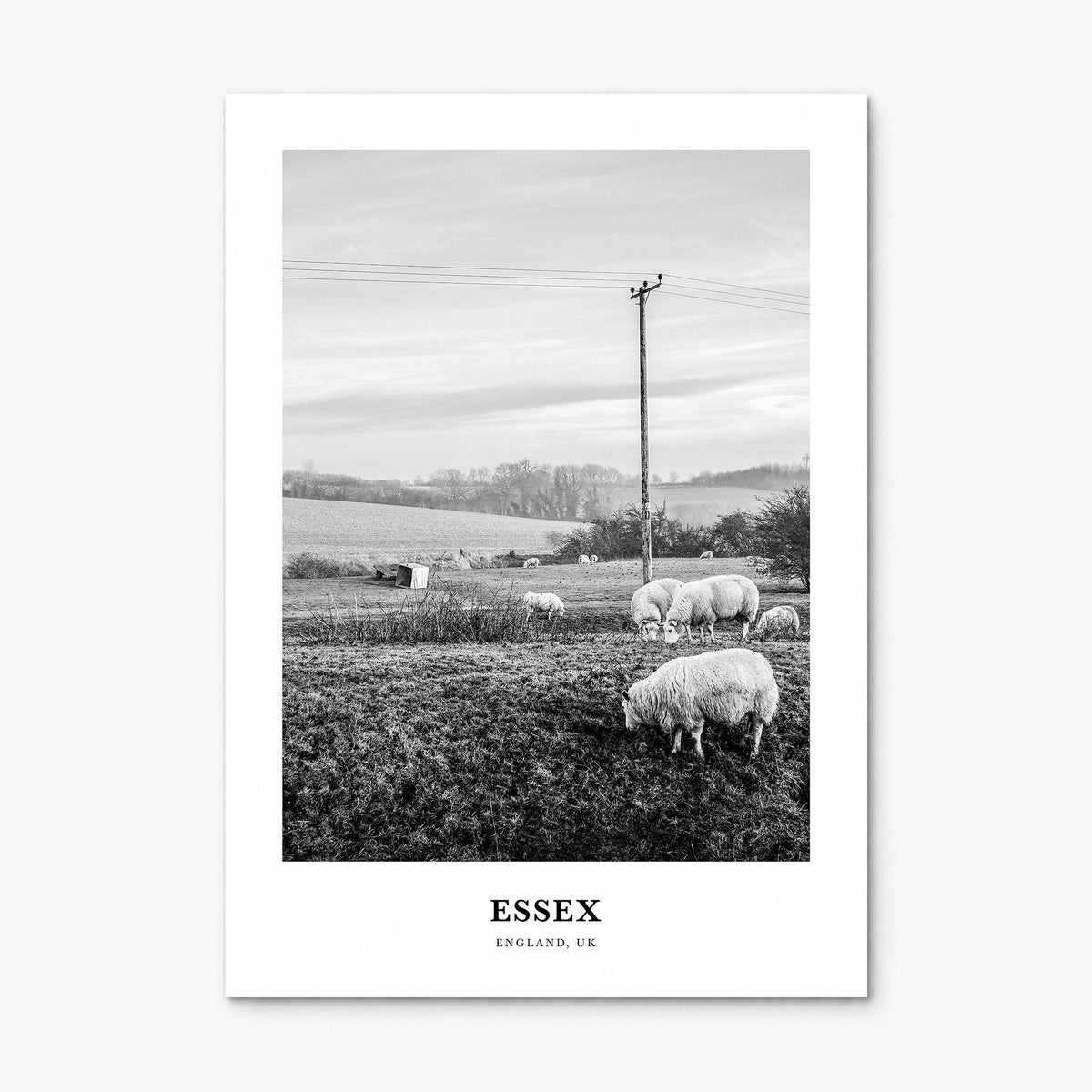 Essex Classic Poster, print only (unframed)