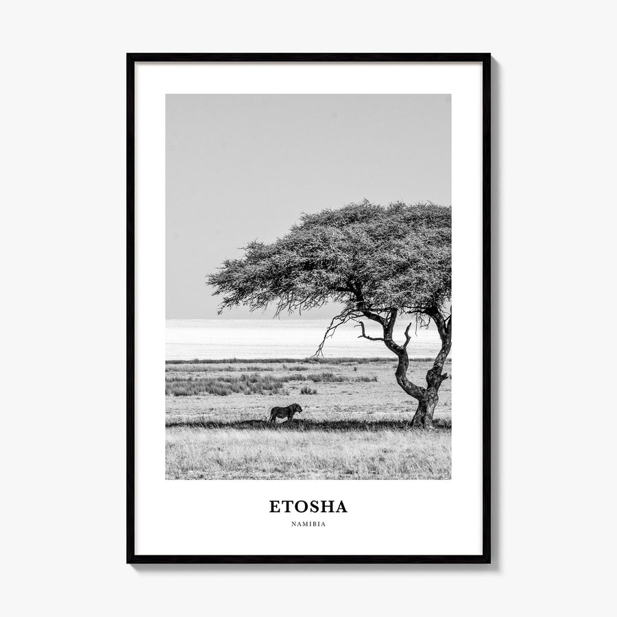 Etosha National Park Classic Poster, framed poster mockup