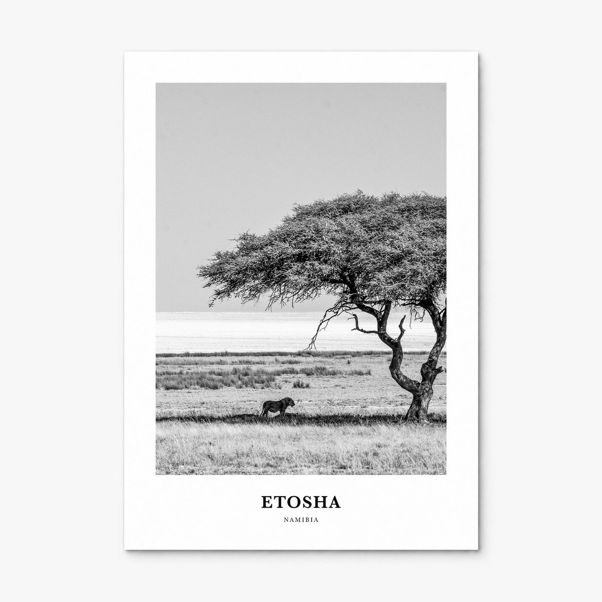 Etosha National Park Classic Poster, print only (unframed)
