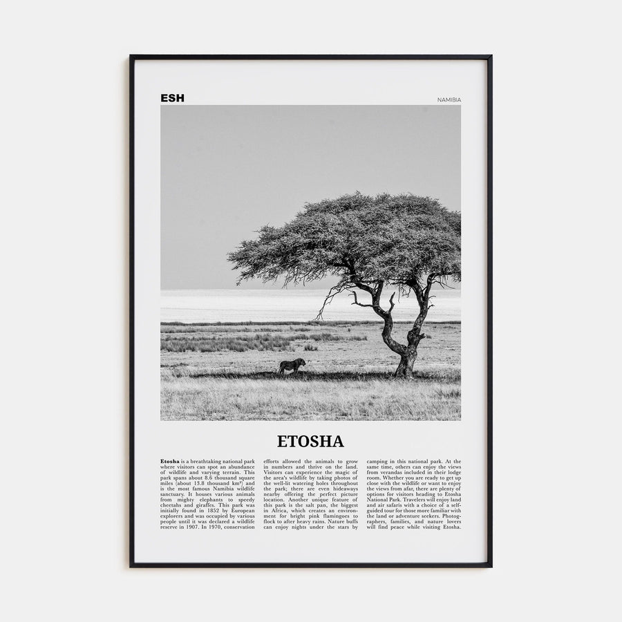 Etosha National Park Poster None / 8x12 in Nbourhood Travel B&W Poster