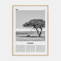 Etosha National Park Poster Natural Wood / 8x12 in Nbourhood Travel B&W Poster