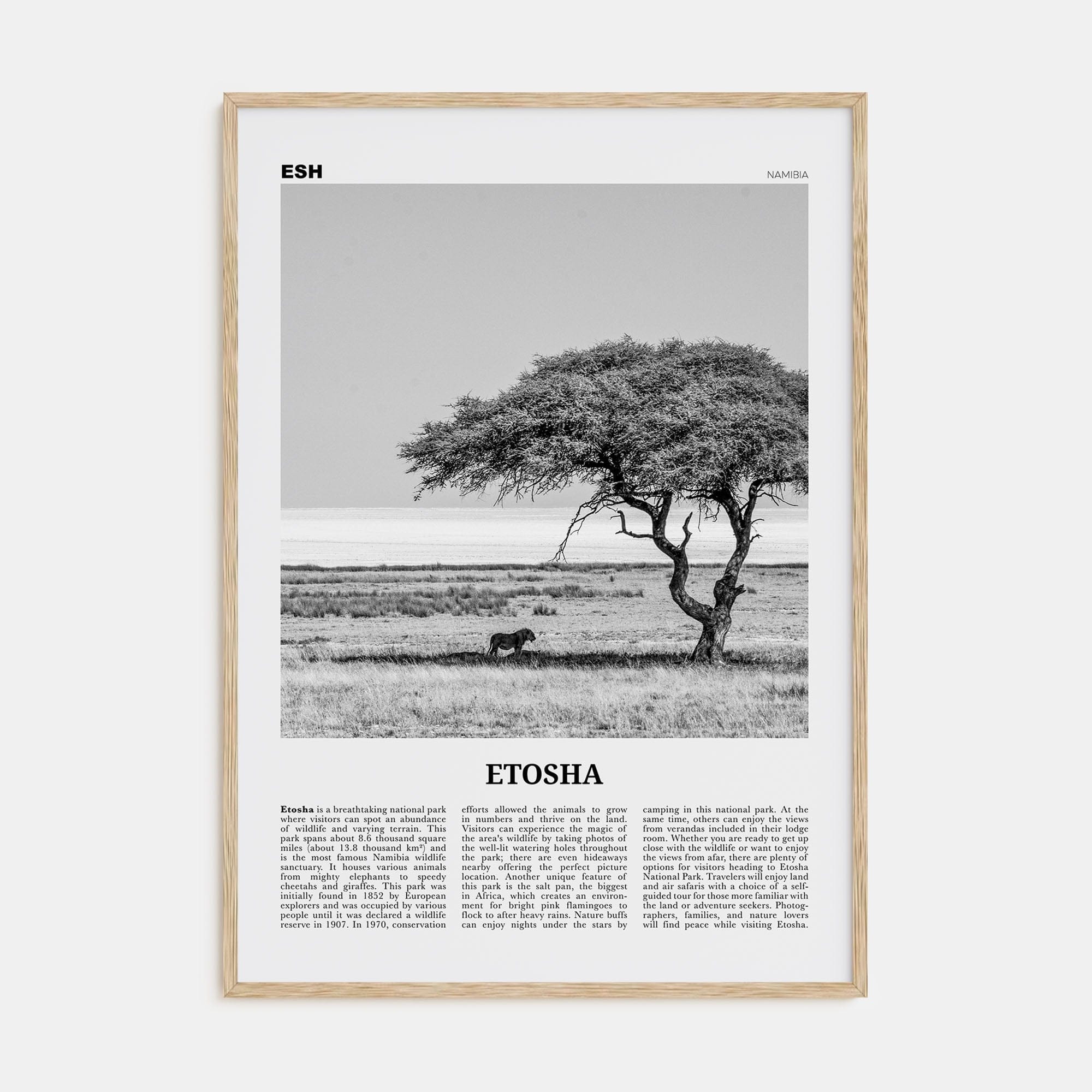 Etosha National Park Poster Natural Wood / 8x12 in Nbourhood Travel B&W Poster