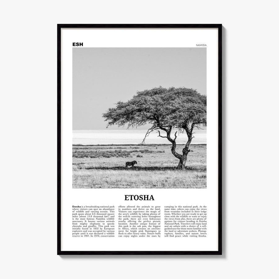 Etosha National Park Newspaper Poster, framed poster mockup