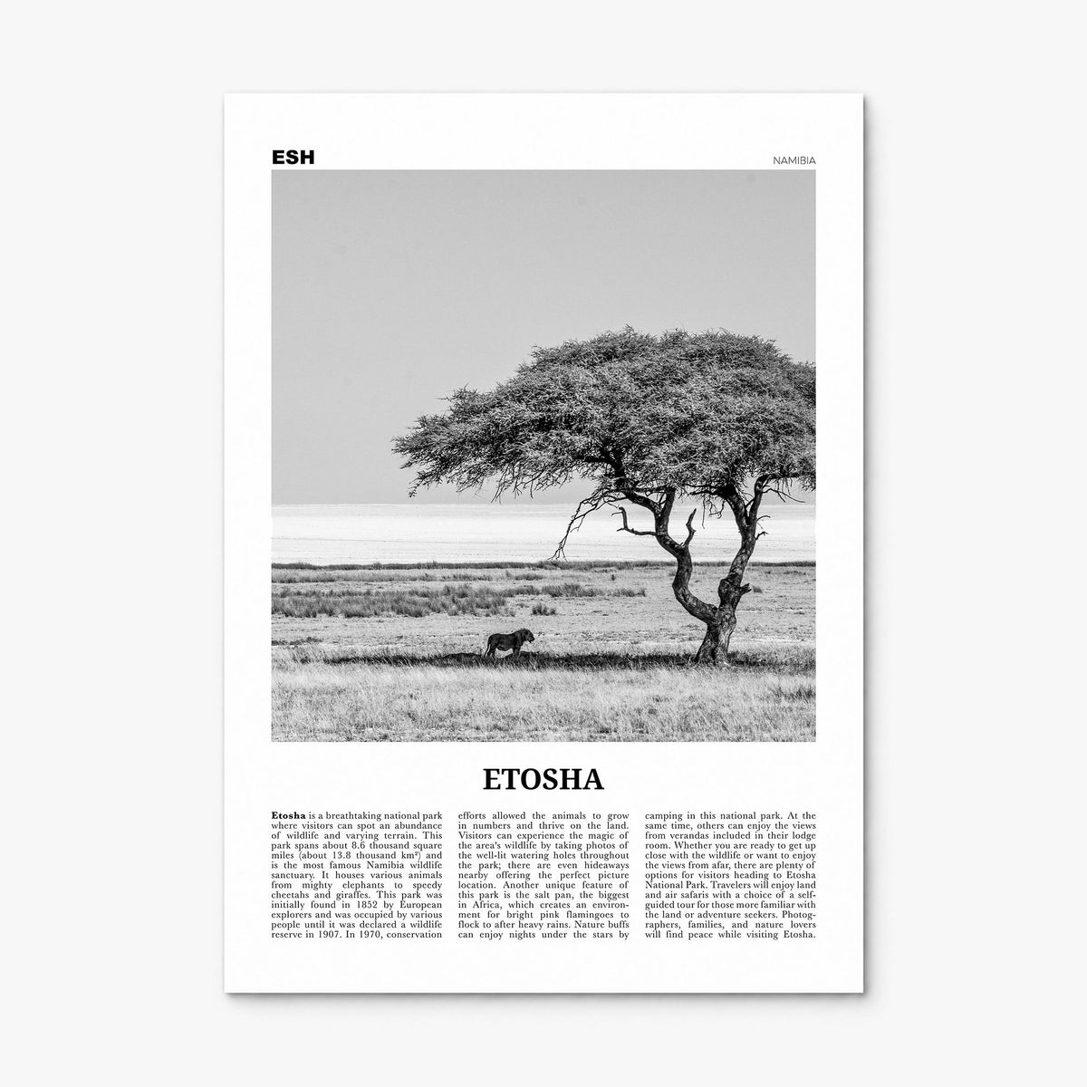 Etosha National Park Newspaper Poster, print only (unframed)