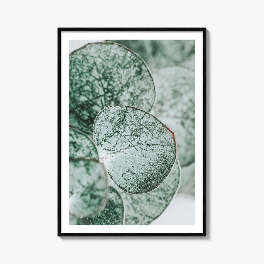Eucalyptus Leaves colorful photo poster – vertical wall art, unframed print shown in interior mockup