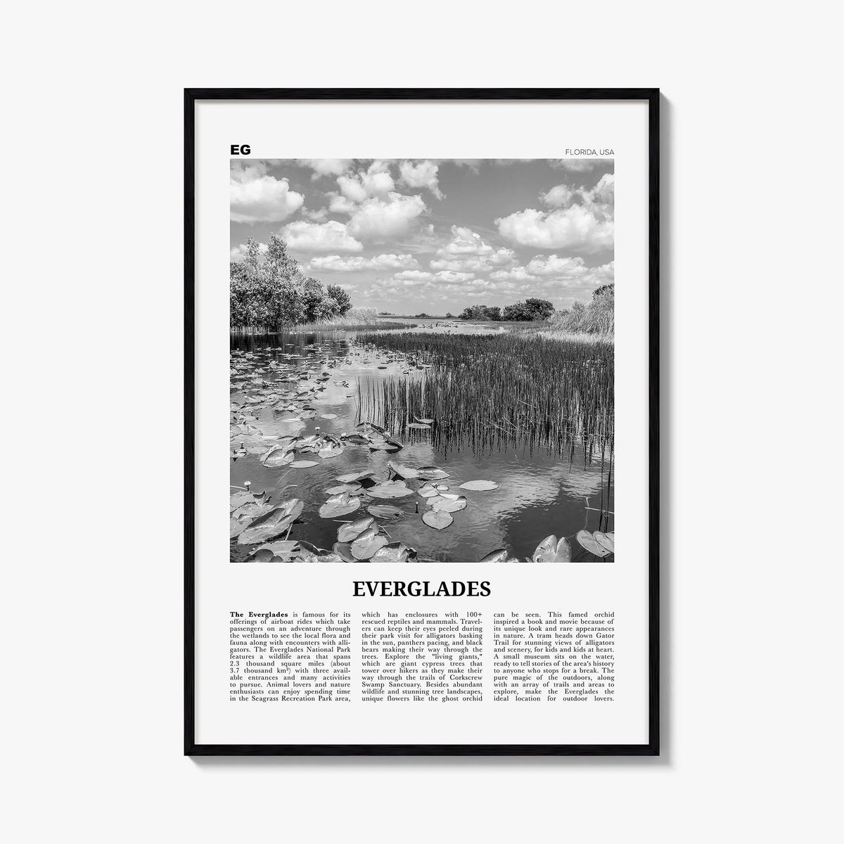 Everglades National Park black & white newspaper poster of Florida, USA – vertical wall art, unframed print shown in interior