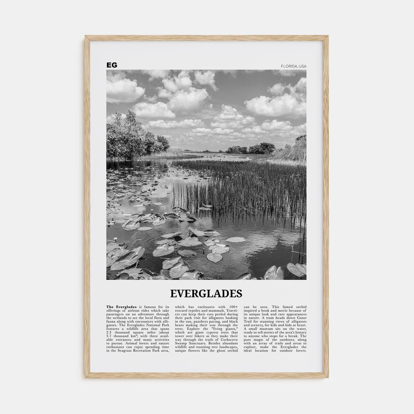 Everglades National Park Poster Natural Wood / 8x12 in Nbourhood Travel B&W Poster