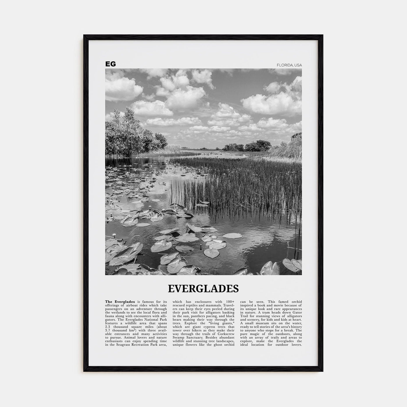 Everglades National Park Poster Black Wood / 8x12 in Nbourhood Travel B&W Poster