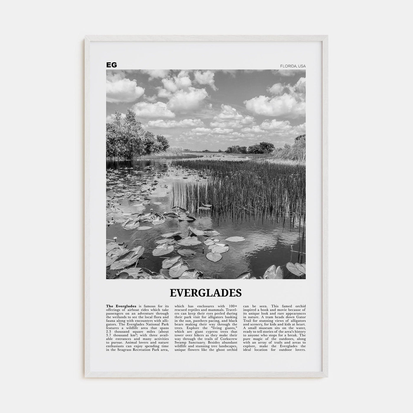 Everglades National Park Poster White Wood / 8x12 in Nbourhood Travel B&W Poster