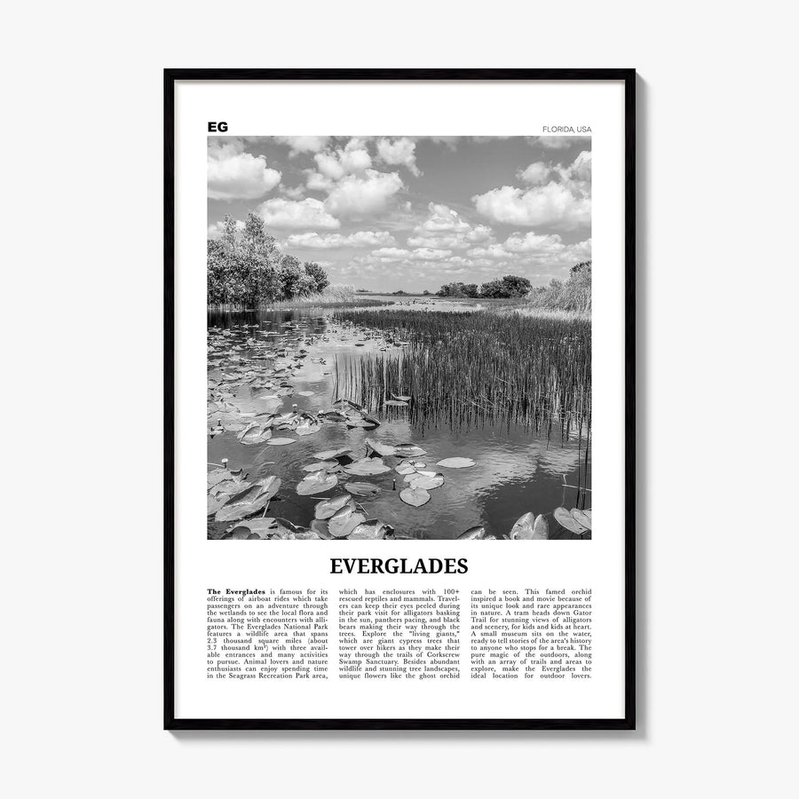 Everglades National Park Newspaper Poster, framed poster mockup