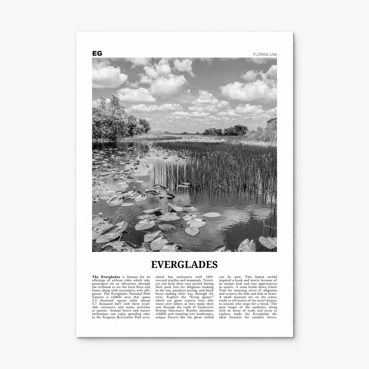 Everglades National Park Newspaper Poster, print only (unframed)