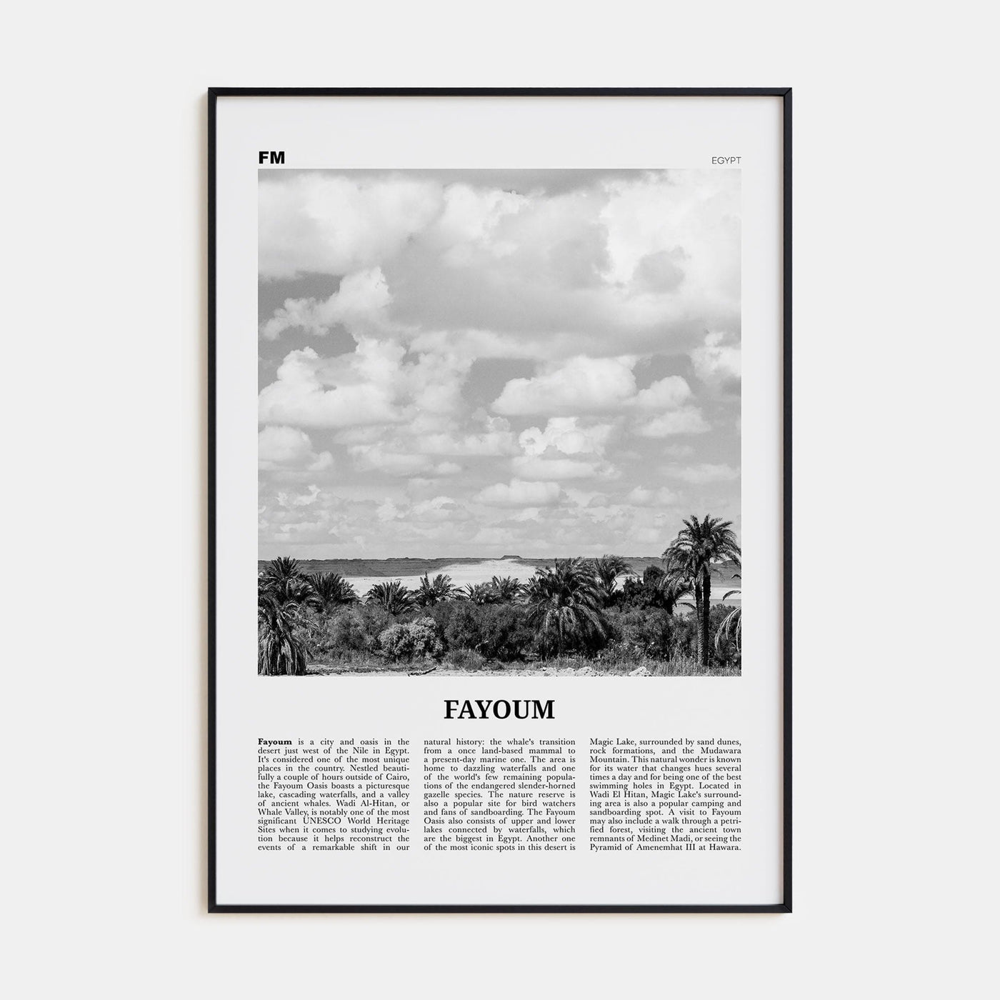 Fayoum Poster None / 8x12 in Nbourhood Travel B&W Poster