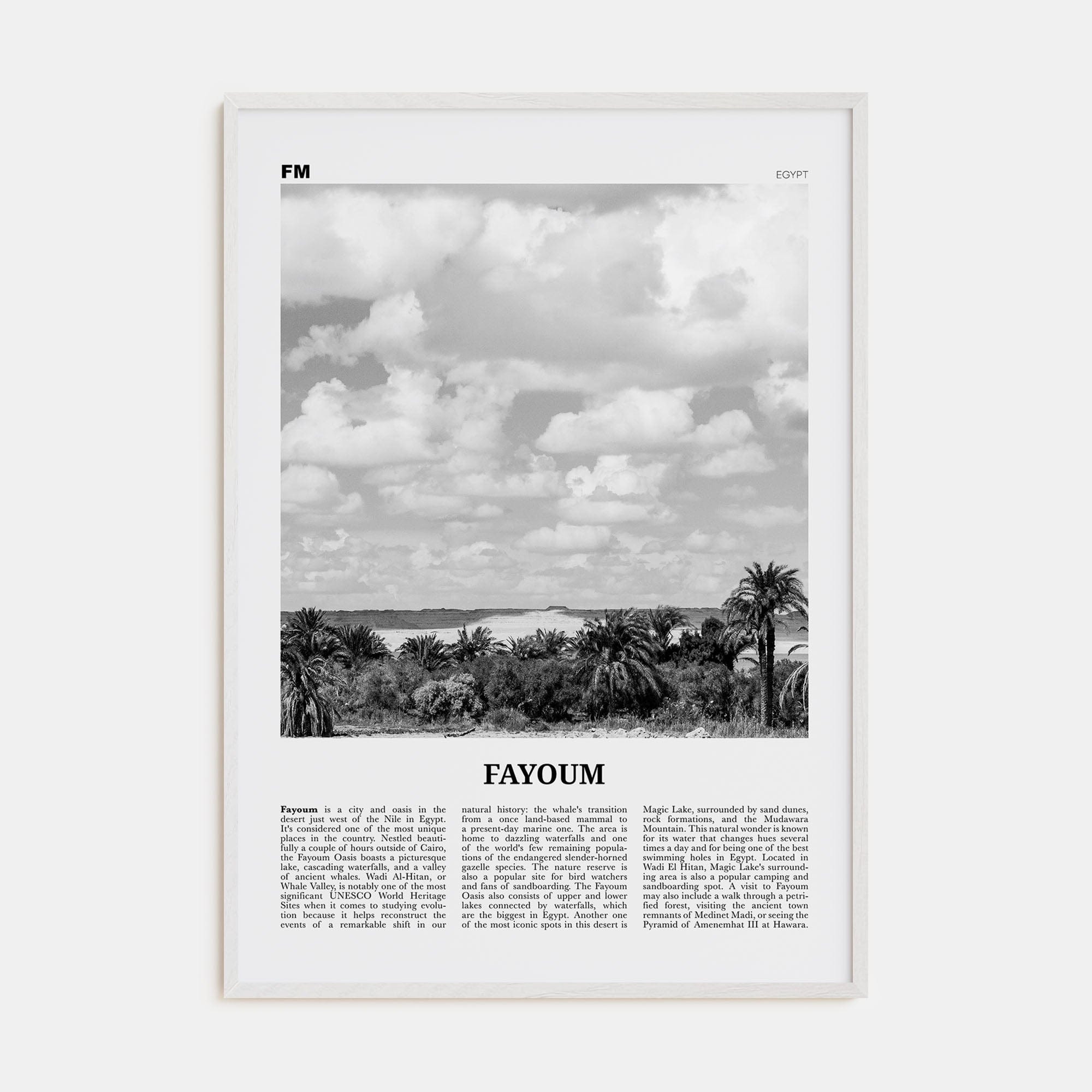 Fayoum Poster White Wood / 8x12 in Nbourhood Travel B&W Poster