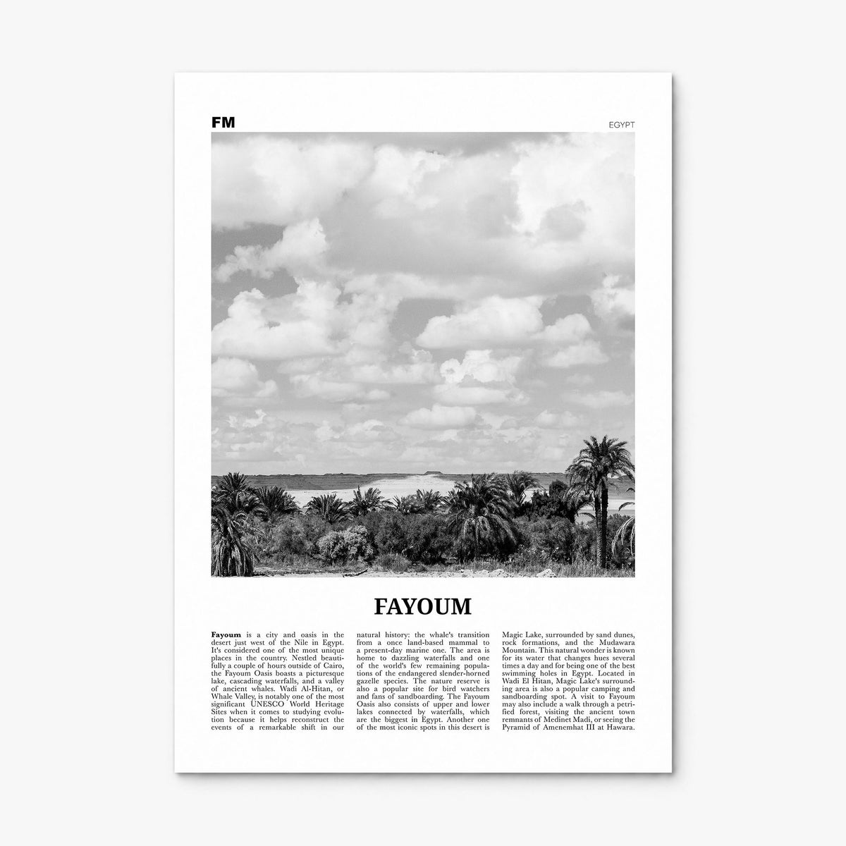 Fayoum Newspaper Poster, print only (unframed)